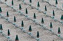 PATTERN di Roberto Scannella (2)